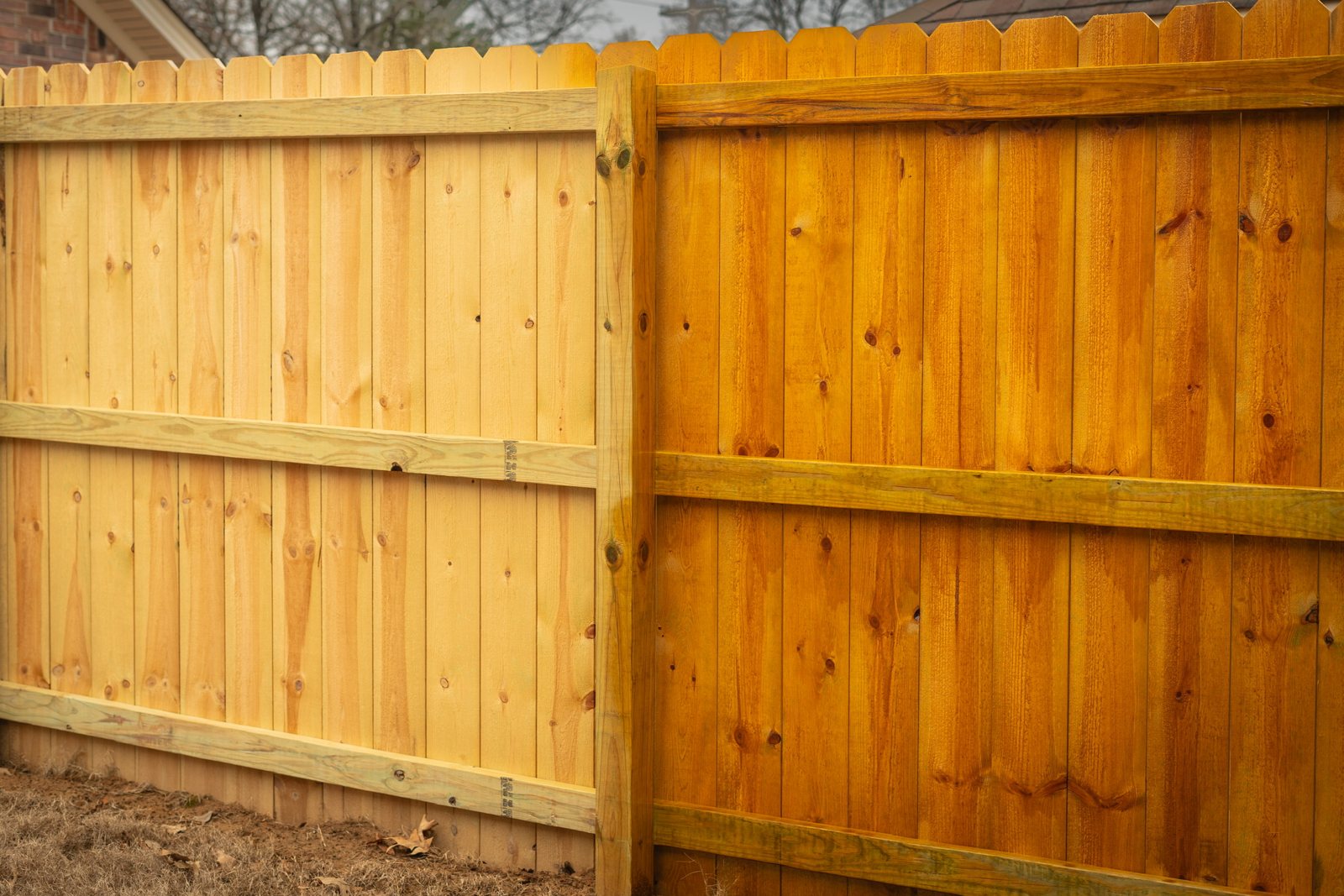 Freshly stained privacy fence